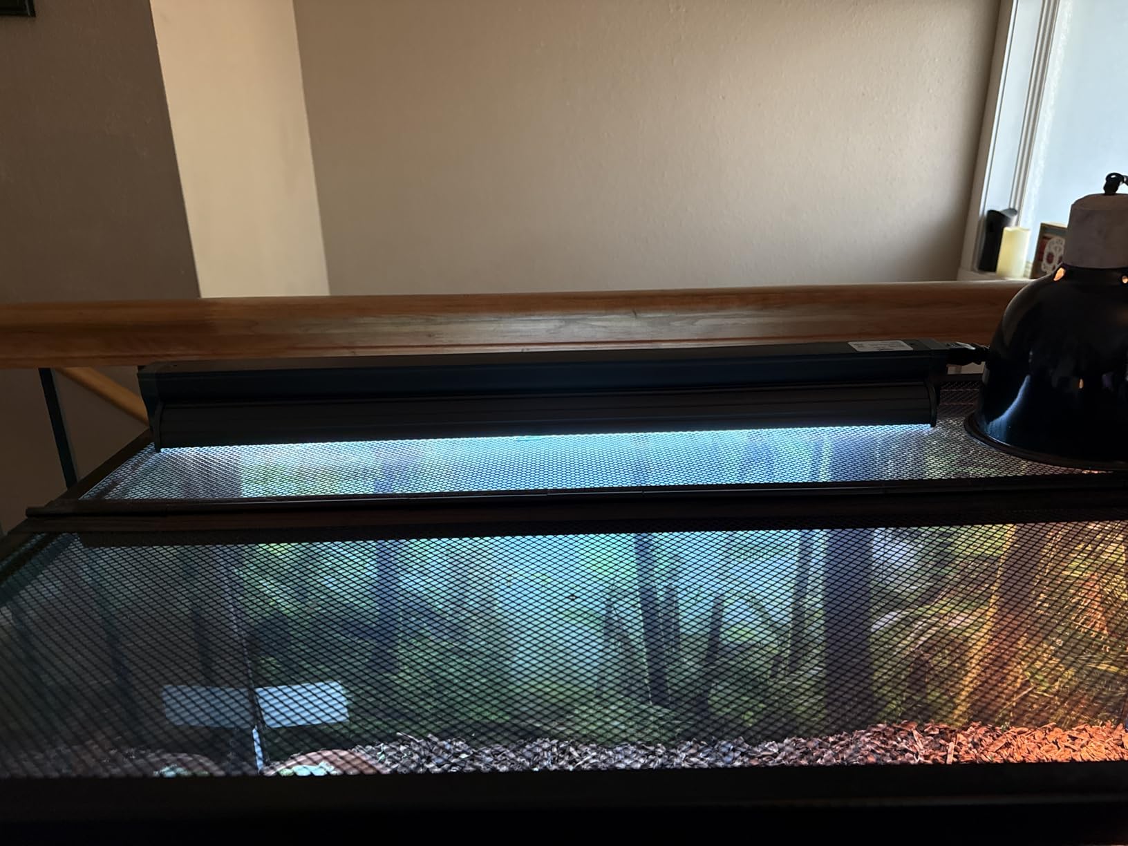 T5 Reptile Light Fixture Combo Kit 24W Light Fixture Reptile Terrarium Hood 10.0 UVB Light Bulb Fluorescent Tube Ideal for Tropical and Deserts Such as Bearded Dragon Lizards and Tortoises customer photo 2
