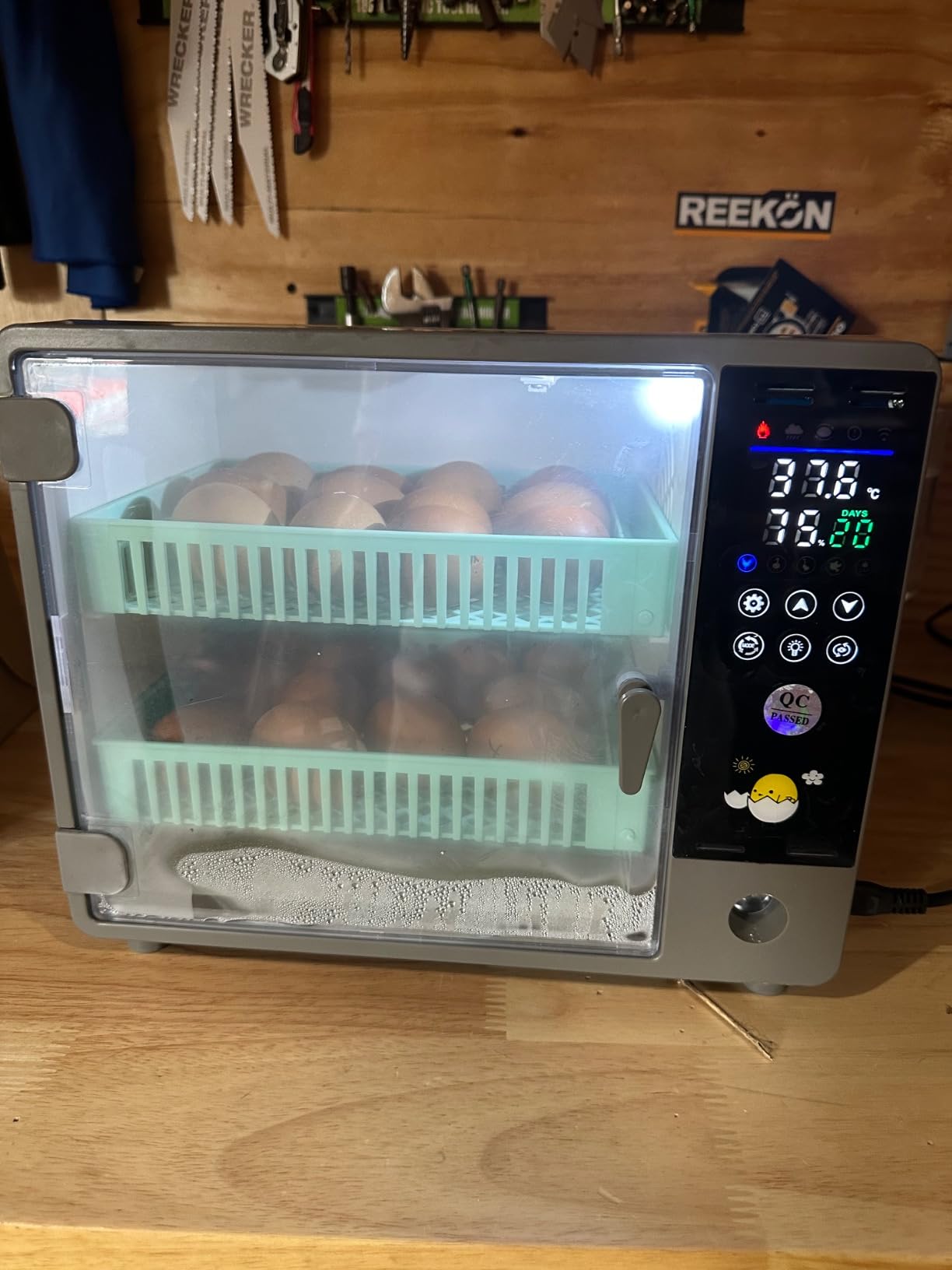 Cabinet Incubators for Hatching Eggs, 24 Egg Incubator customer photo 1