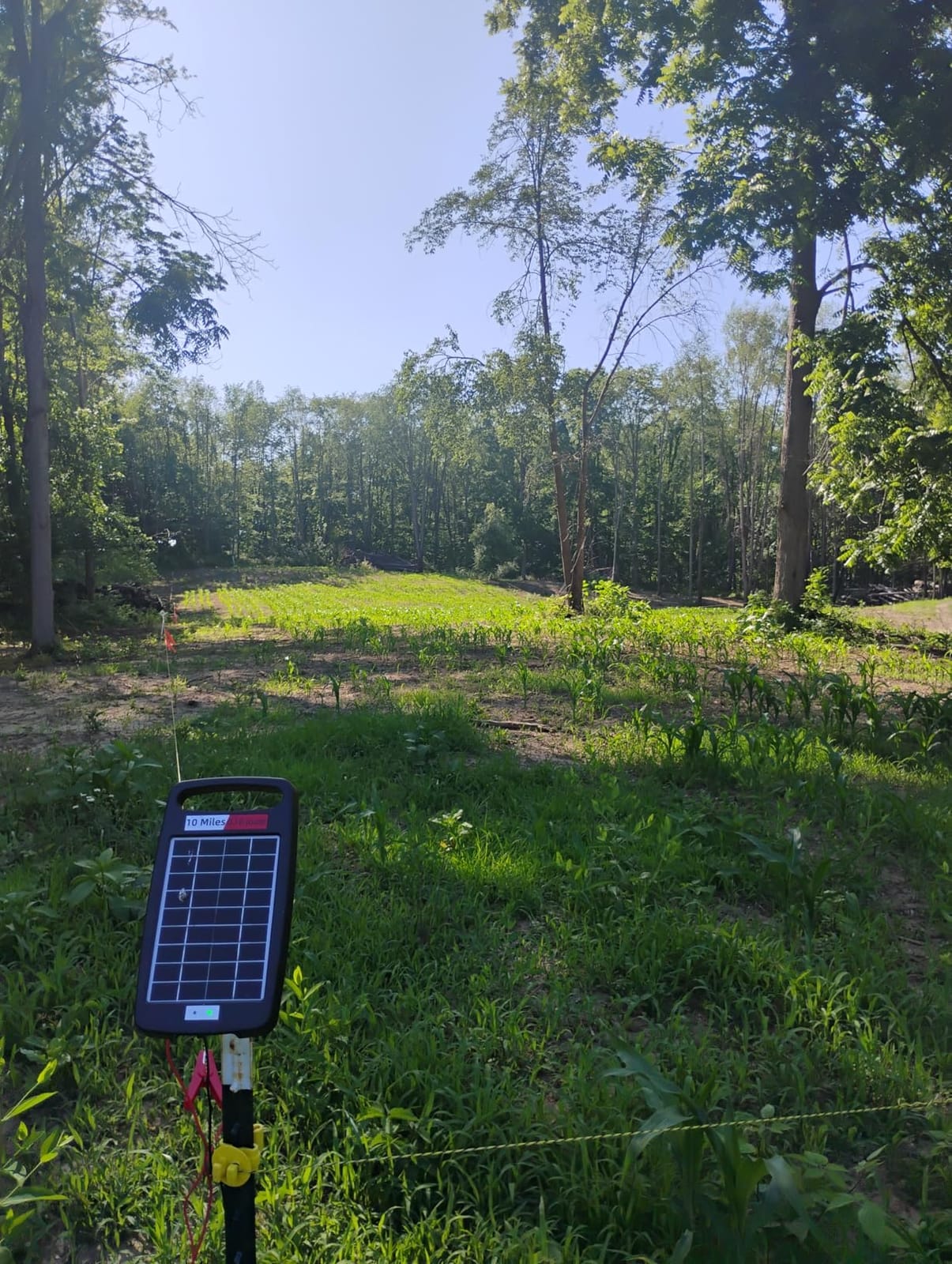 10 Miles Solar Powered Electric Fence Charger, 0.18J Portable for Livestock customer photo 2