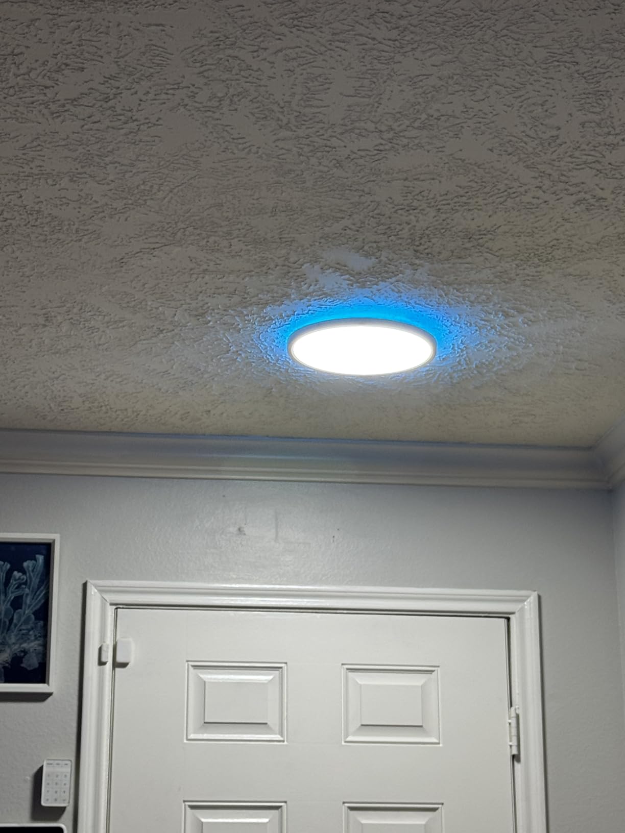 12 Inch WiFi Smart RGB LED Flush Mount Ceiling Light (2 Pack) customer photo 1