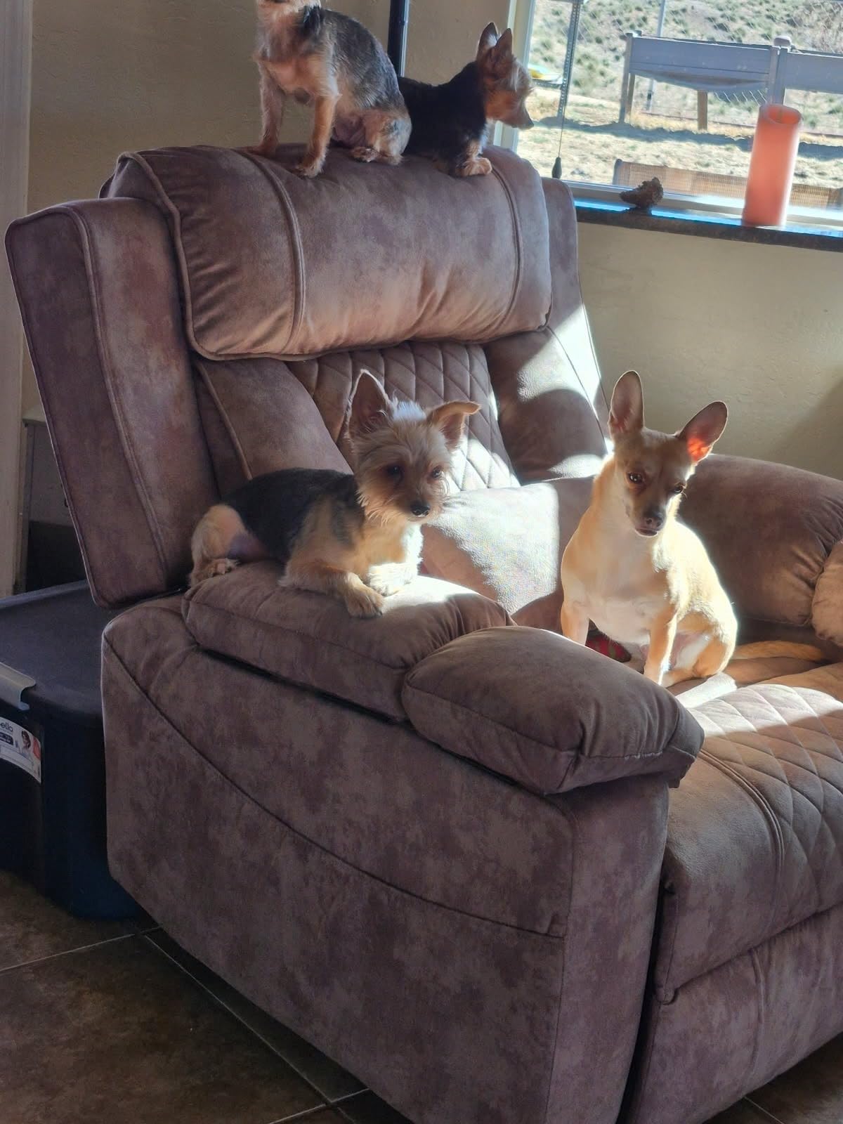 FUNECORP Big Man Power Lay Flat Lift Recliner Chair,Tan customer photo 2
