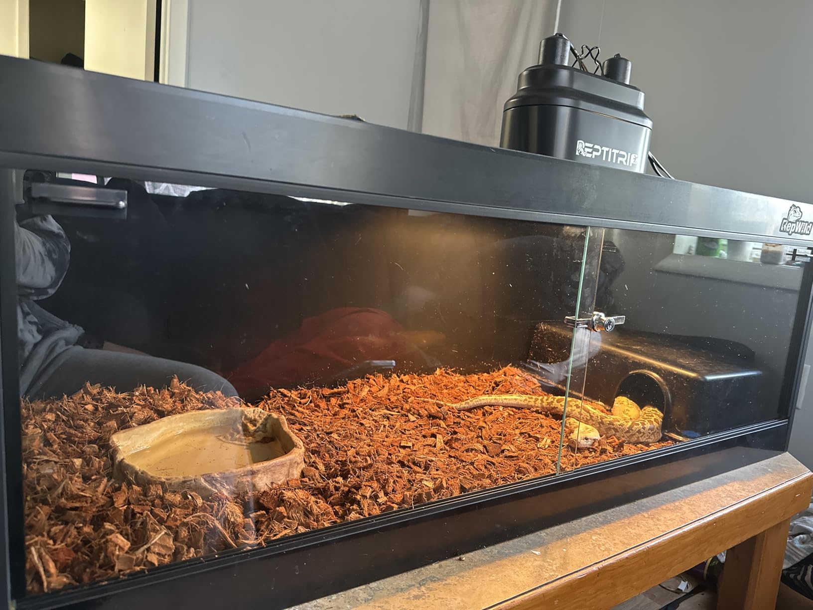 4x2x2 (120 Gallon) PVC Reptile Enclosure, RepWild Terrarium/Tank with Heavy-Duty Screen Top, Glass Sliding Doors & Lock for Bearded Dragons, Ball Python, Geckos, Lizards customer photo 2