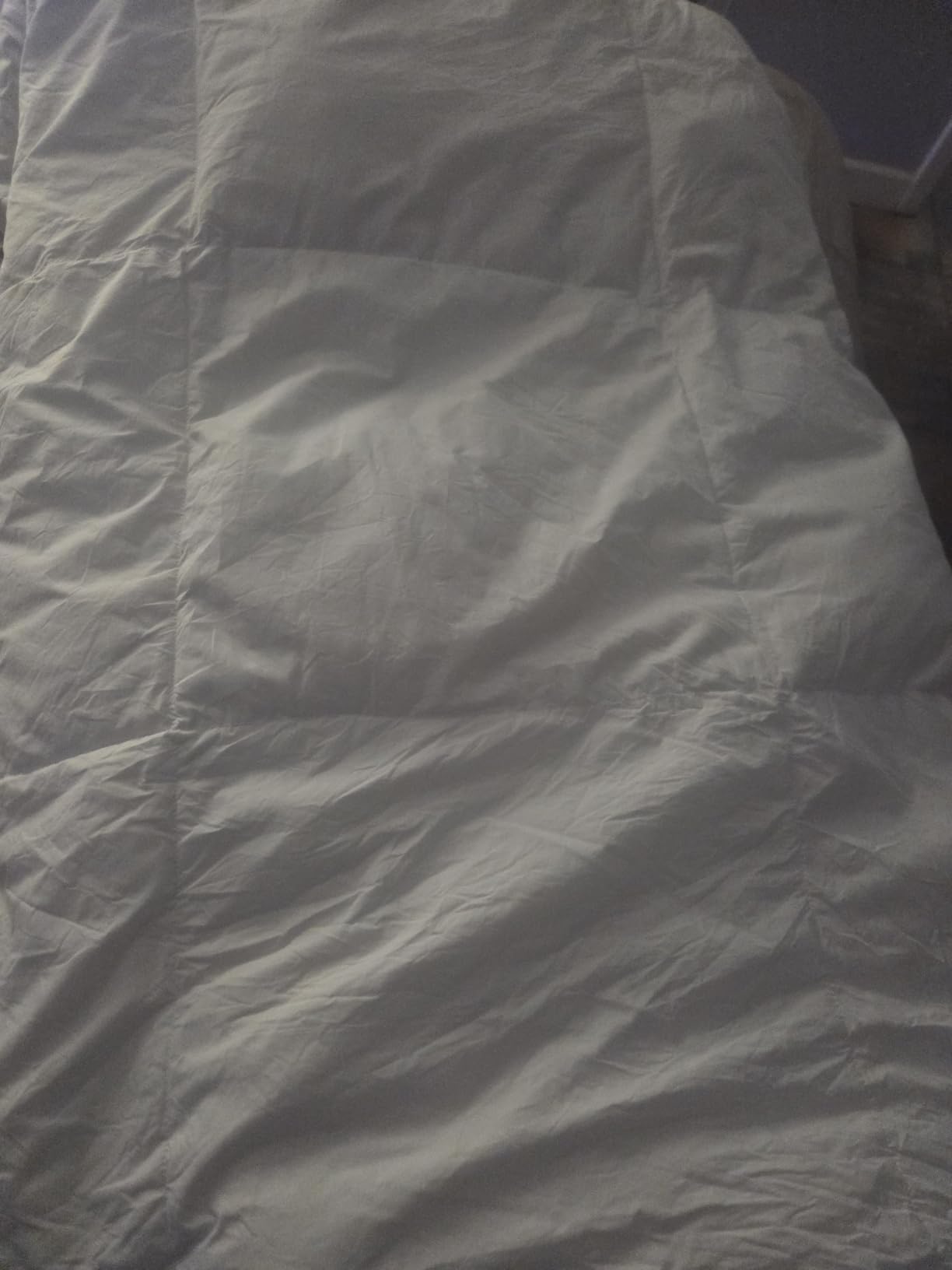 Hotel Grand White Goose Feather Down Fiber Comforter Queen, Extra Warmth customer photo 1