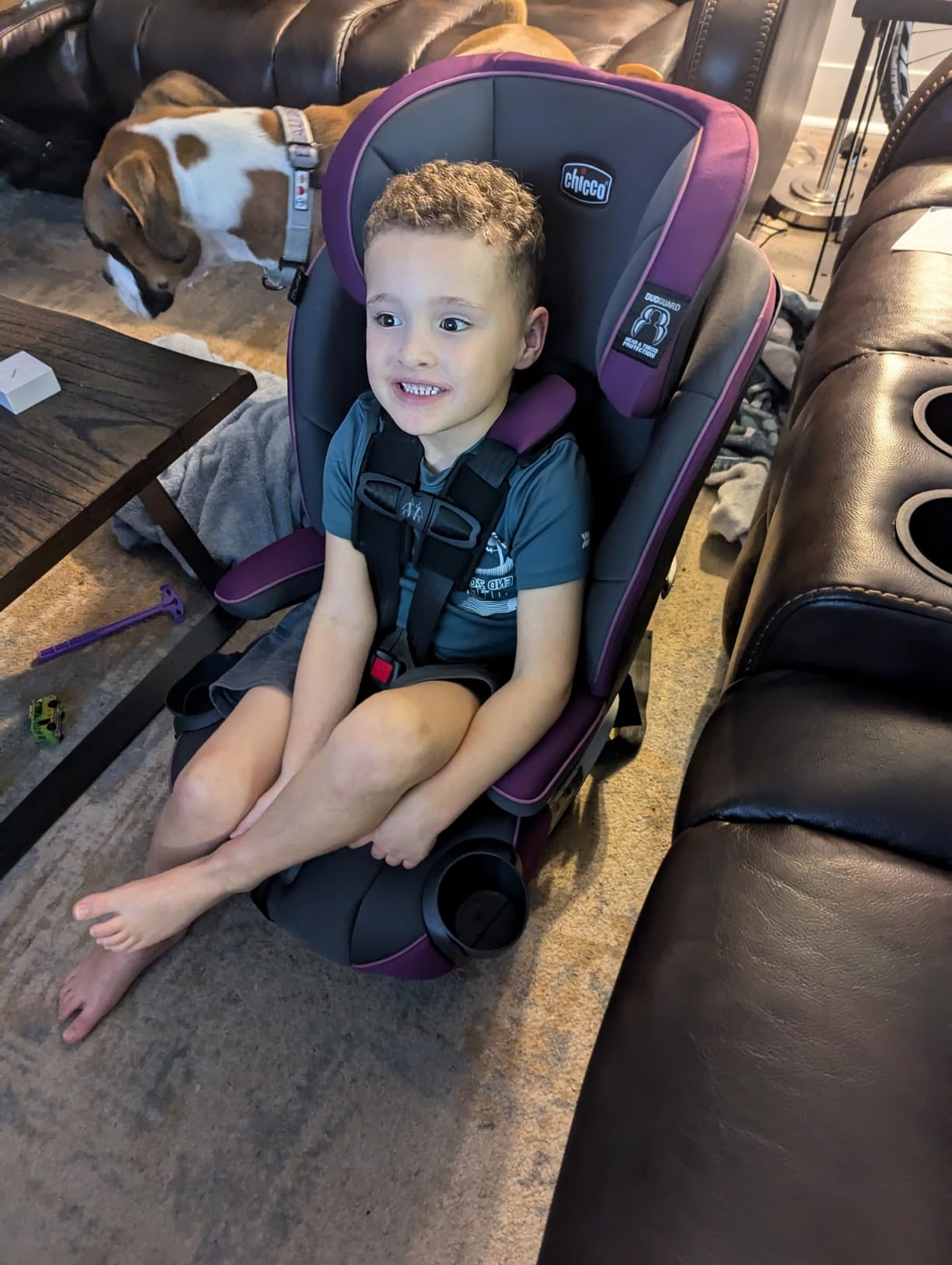 Chicco MyFit Harness + Booster Car Seat, 5-Point Harness and High Back Seat customer photo 2