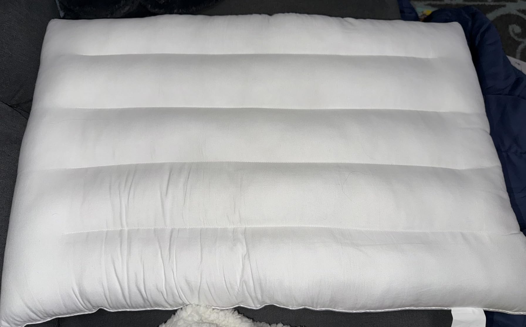 Thin Pillow for Stomach and Back Sleeper Low Pillow Flat Bed Pillow Flat Design Pillows Ultra Slim 2.5 Inches Deeper Sleep (Pack of 1) customer photo 2