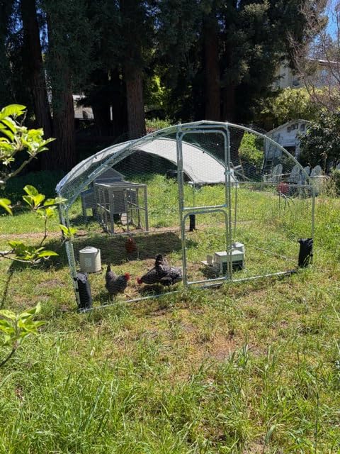 Large Chicken Coop with Run - Wooden Hen House with 6 Nesting Boxes and Removable Tray, 41.3ft² Poultry Pet Hutch Run Cage with Waterproof Asphalt Roof, fold Out House for 8-10 Chickens customer photo 1