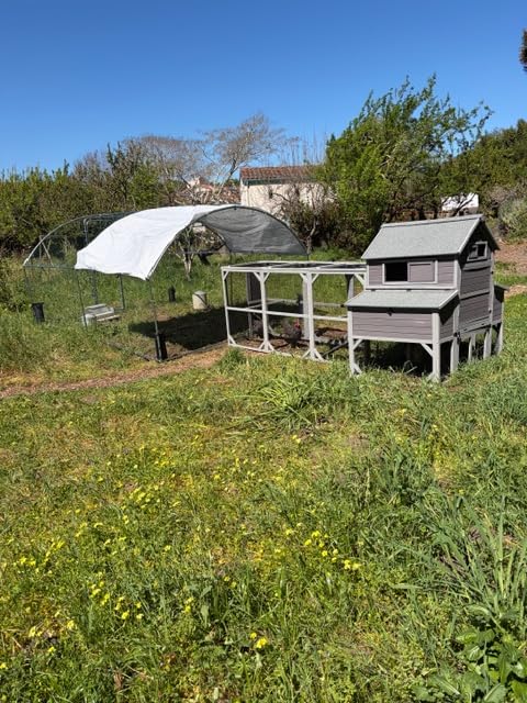 Large Chicken Coop with Run - Wooden Hen House with 6 Nesting Boxes and Removable Tray, 41.3ft² Poultry Pet Hutch Run Cage with Waterproof Asphalt Roof, fold Out House for 8-10 Chickens customer photo 2