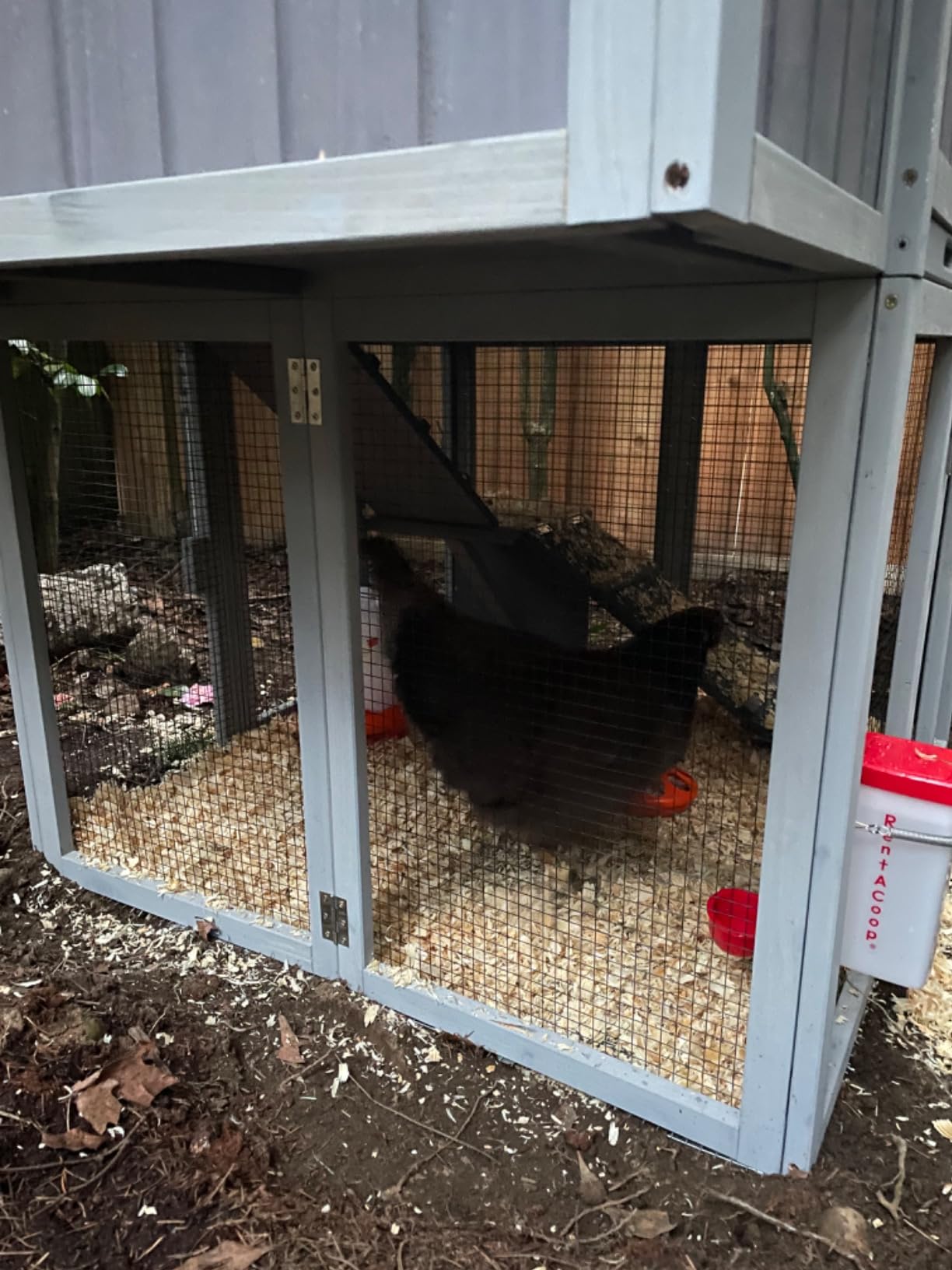 Aivituvin Chicken Coop 85