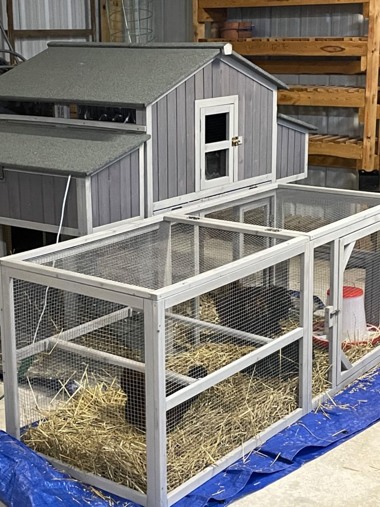 Aivituvin Chicken Coop 85