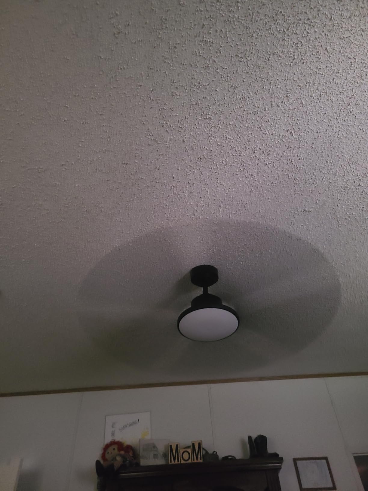 Passky 52 Inch Black Sleek Ceiling Fans with Lights, Remote Control customer photo 1