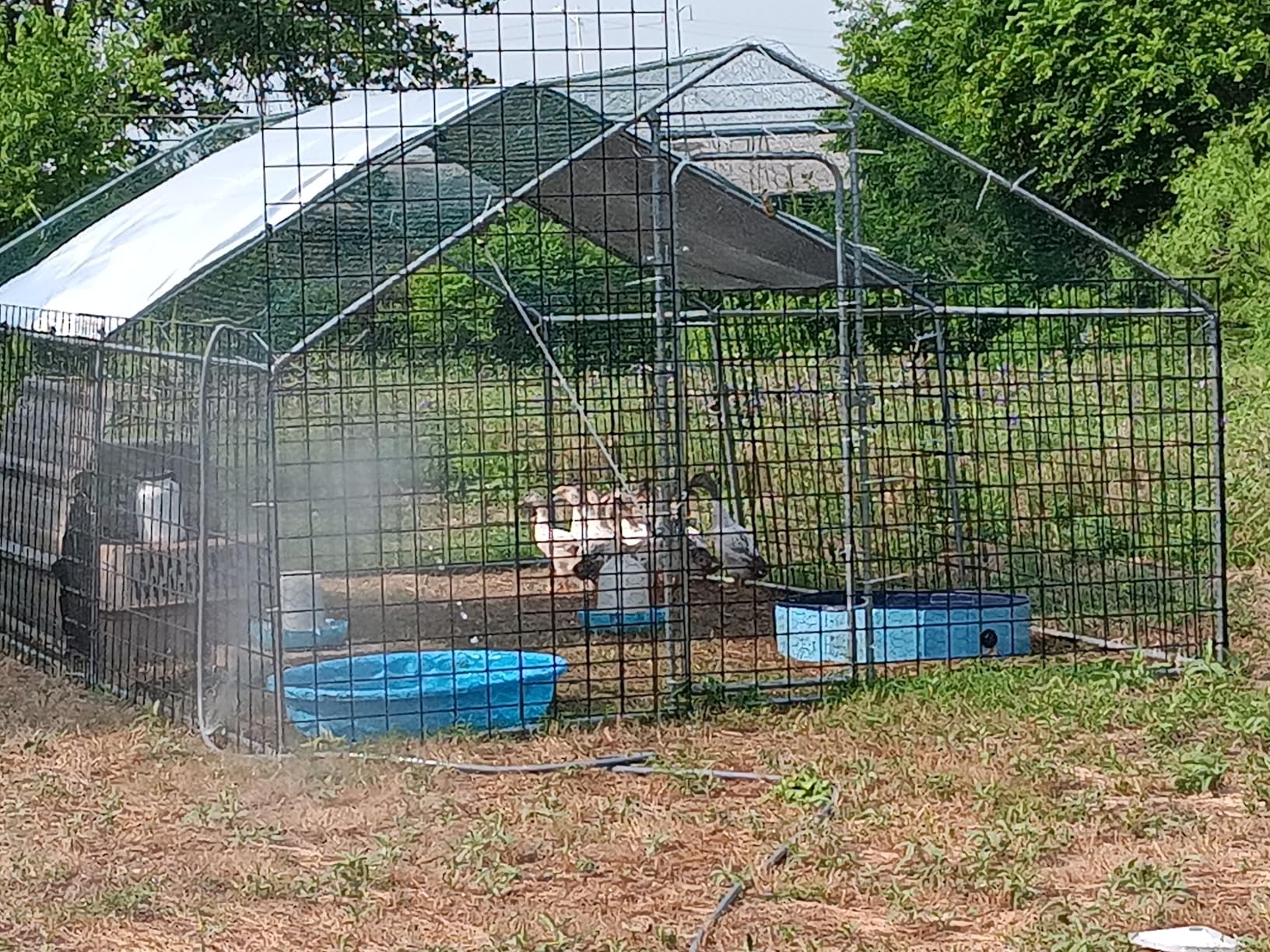 19.7x10 FT Extra Large Metal Chicken Coop, Walk-in Poultry Run Pen customer photo 1