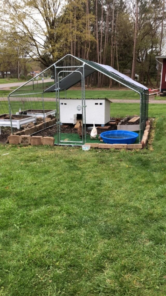 19.7x10 FT Extra Large Metal Chicken Coop, Walk-in Poultry Run Pen customer photo 2