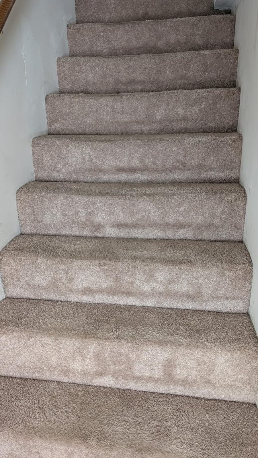 Shark PowerPro Reveal Plus Cordless Vacuum Cleaner - Charcoal - IZ376H customer photo 2