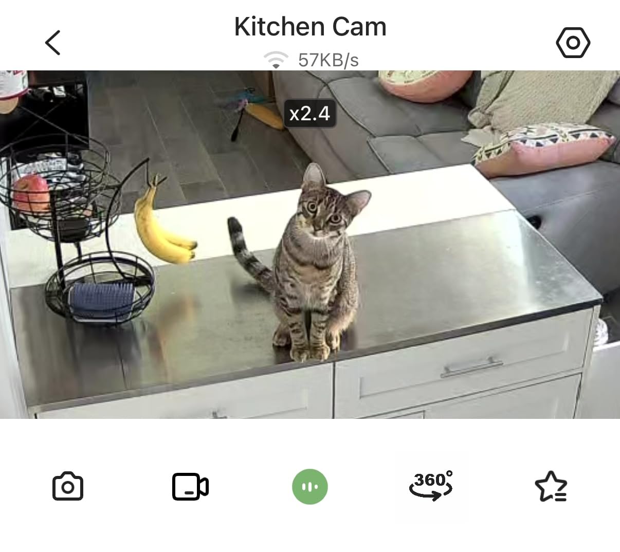 Anona 4K UHD Indoor Camera, Pet/Dog/Baby Security Camera with Phone App, 360°Pan-Tilt, 5G/2.4G Dual-Band Wi-Fi 6, Auto-Tracking, Person/Pet/Baby Crying Detection, Privacy Mode, Two-Way Audio, 2 Pack customer photo 2