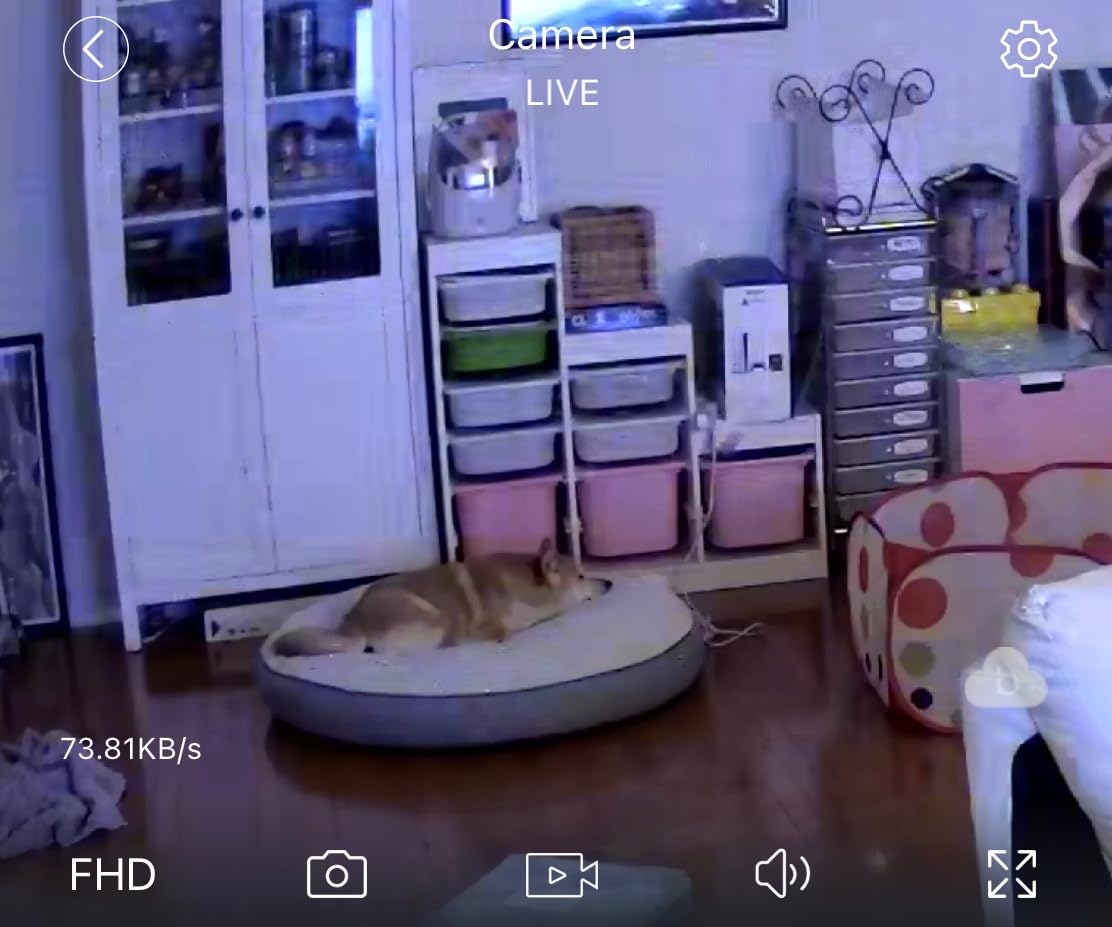 blurams 5G Indoor Cameras for Home Security, 2K Pet Camera with Phone App, 360° PTZ Home Cam w/Dual-Band WiFi6, 2-Way Talk, Free Human/Sound Detection, Motion Tracking, Night Vision, Works with Alexa customer photo 1