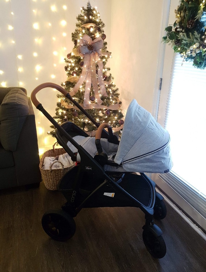 Chicco Corso LE System w/KeyFit Max ClearTex Infant Car Seat & Base customer photo 2