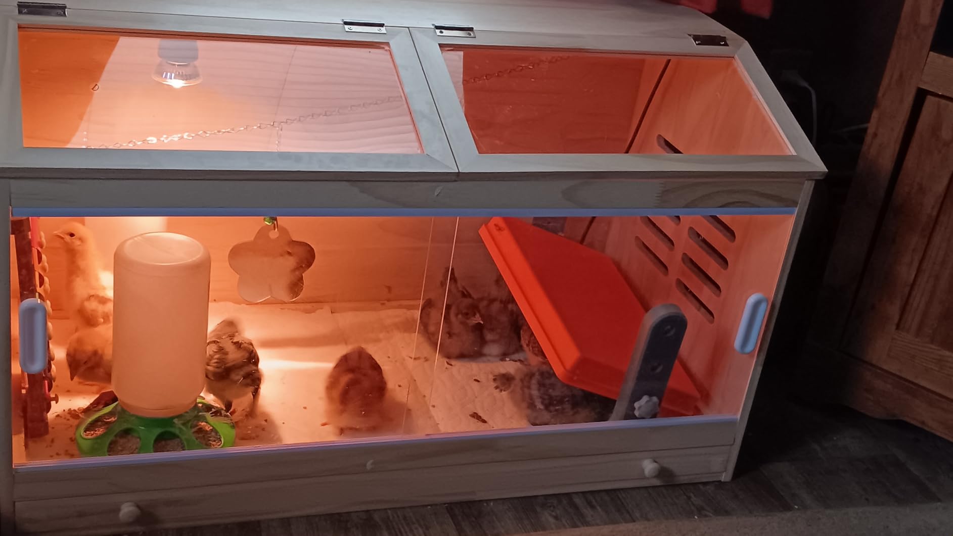 Wooden Chick Brooder Box with Heat Lamp and Thermometer, 15.7 x 12 x 12 in customer photo 1