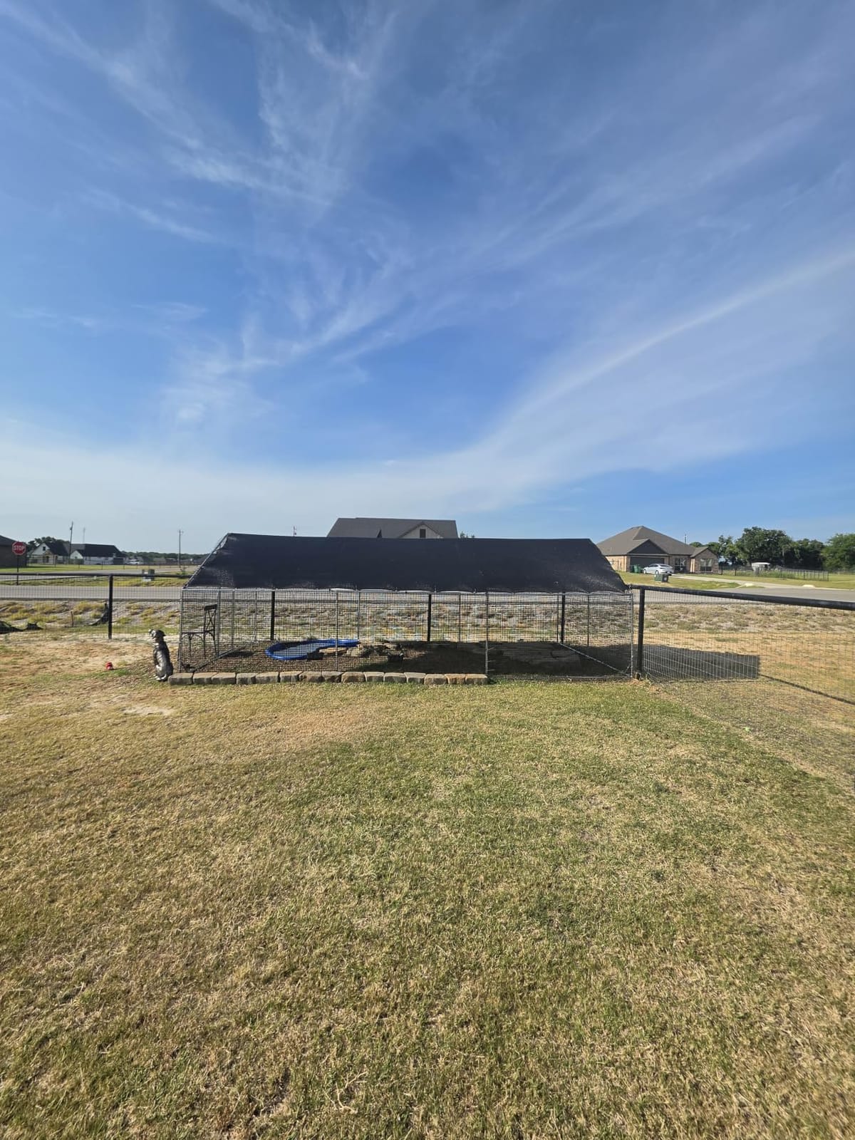 CAMMOO Walk in Chicken Coop, 9.8x6.6x6.6ft Chicken Run for Yard with Cover customer photo 2