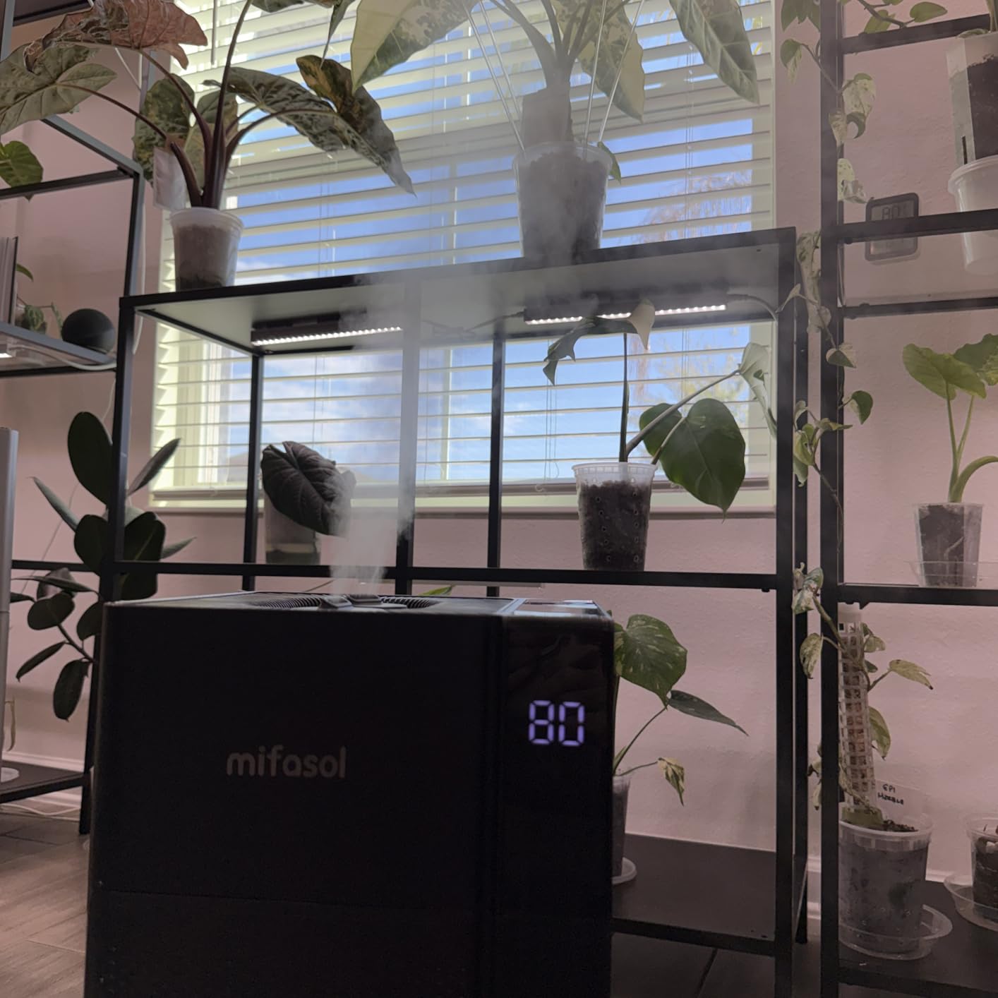 Mifasol Cool Mist Humidifier Large Room, Whole House Humidifiers for Home customer photo 1