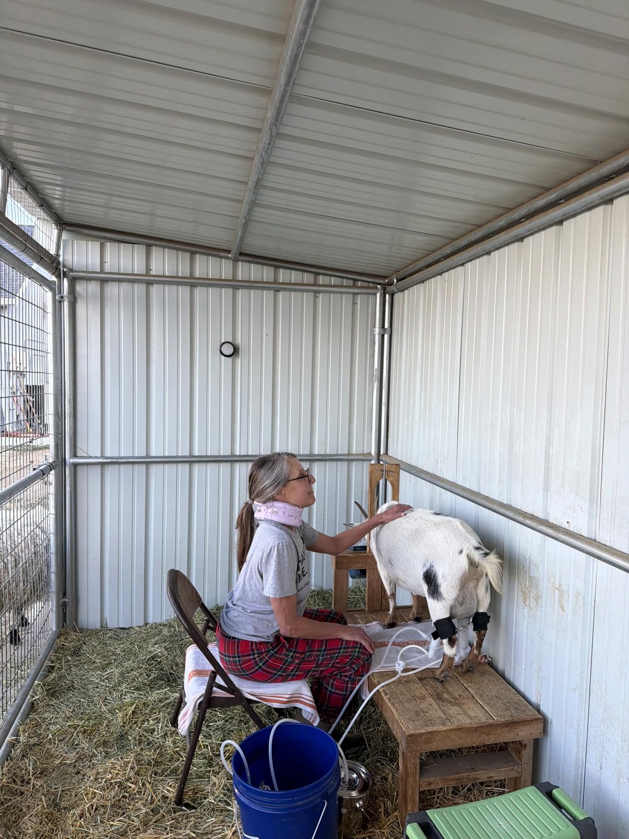 7L Goat Milking Machine,Battery Rechargeable Portable Milker,304 Food Bucket customer photo 1