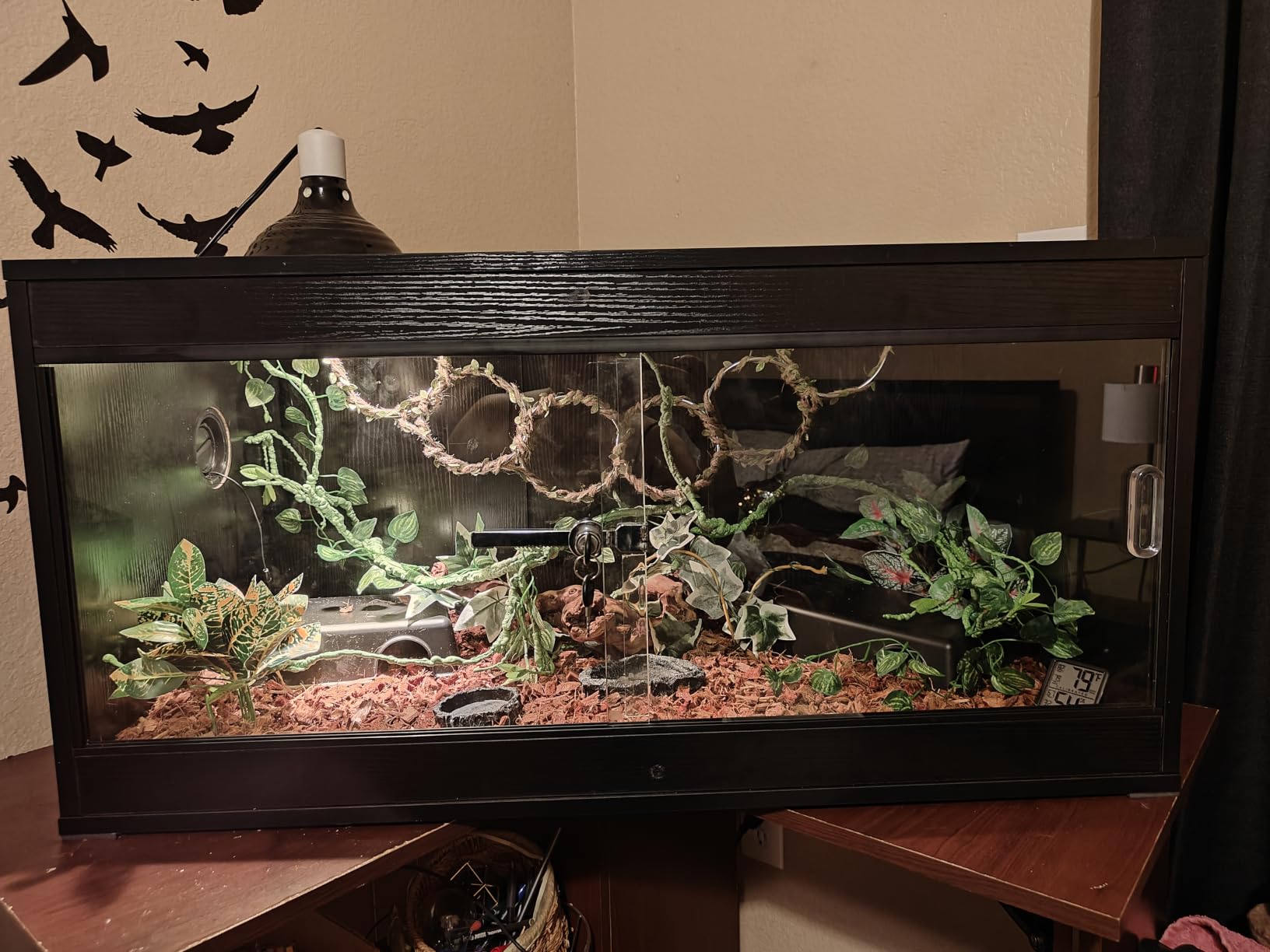 unipaws 50 Gallon Reptile Tank for Lizards, Leopard Geckos Enclosure Cage customer photo 1
