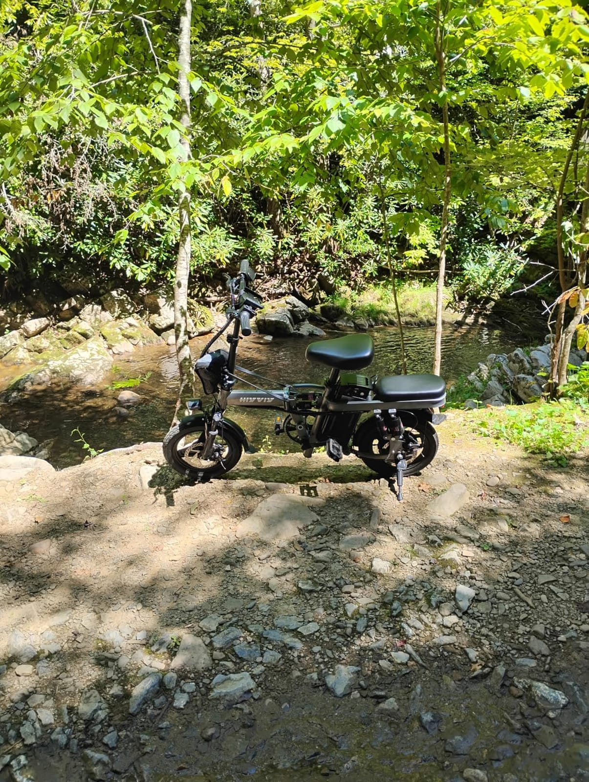 H14-A Folding Electric Bikes for Adults, Peak 1200W Foldable Electric Bike customer photo 2