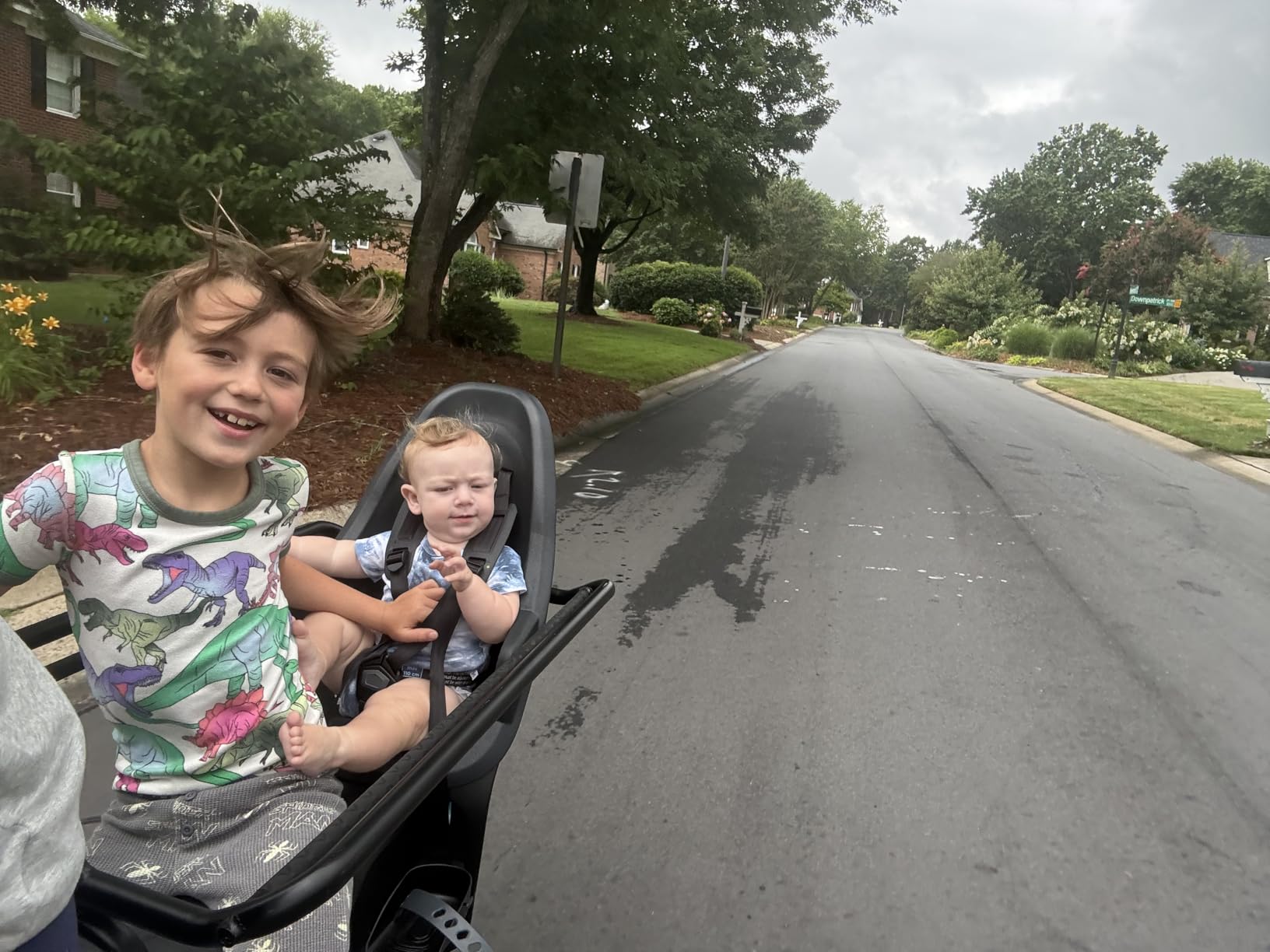 Thule Yepp 2 Mounted Child Bike seat, Adjustable footrests, 5-Point Harness and Easy to Mount Design customer photo 2
