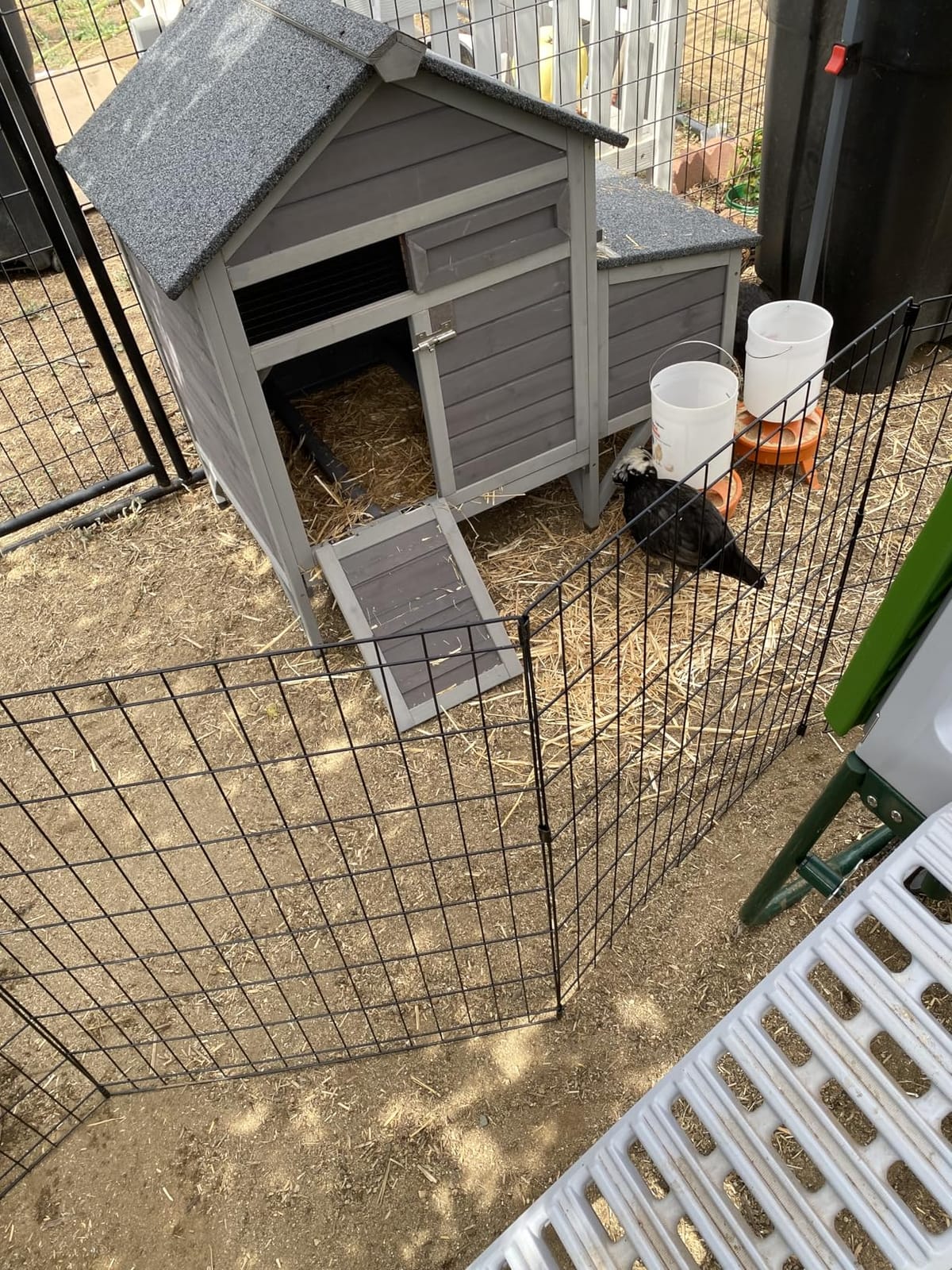 Aivituvin Small Chicken Coop for 2-3 Chickens, Elevated Outdoor Wooden Hen House Quail Hutch with 2 Sectionable Nesting Box, Pull-Out Tray, Waterproof Asphalt Roof - Brown, 40.9