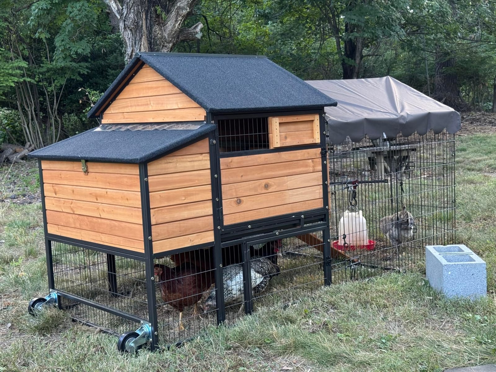 Wooden Chicken Coop, Large Chicken Tractor with Wheels, Weatherproof Hen House with Nest Box and Removable Tray, Mobile Poultry Hutch for 2-4 Chickens, Rabbits & Ducks (Grey) customer photo 1