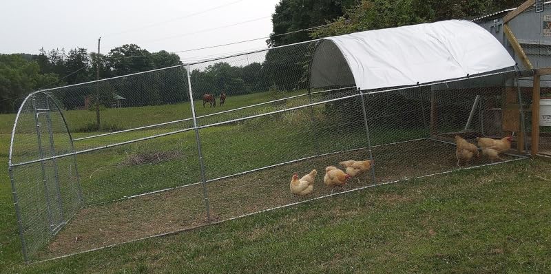 23.2x9.8 FT Extra Large Metal Chicken Coop, Walk-in Poultry Run Pen customer photo 2