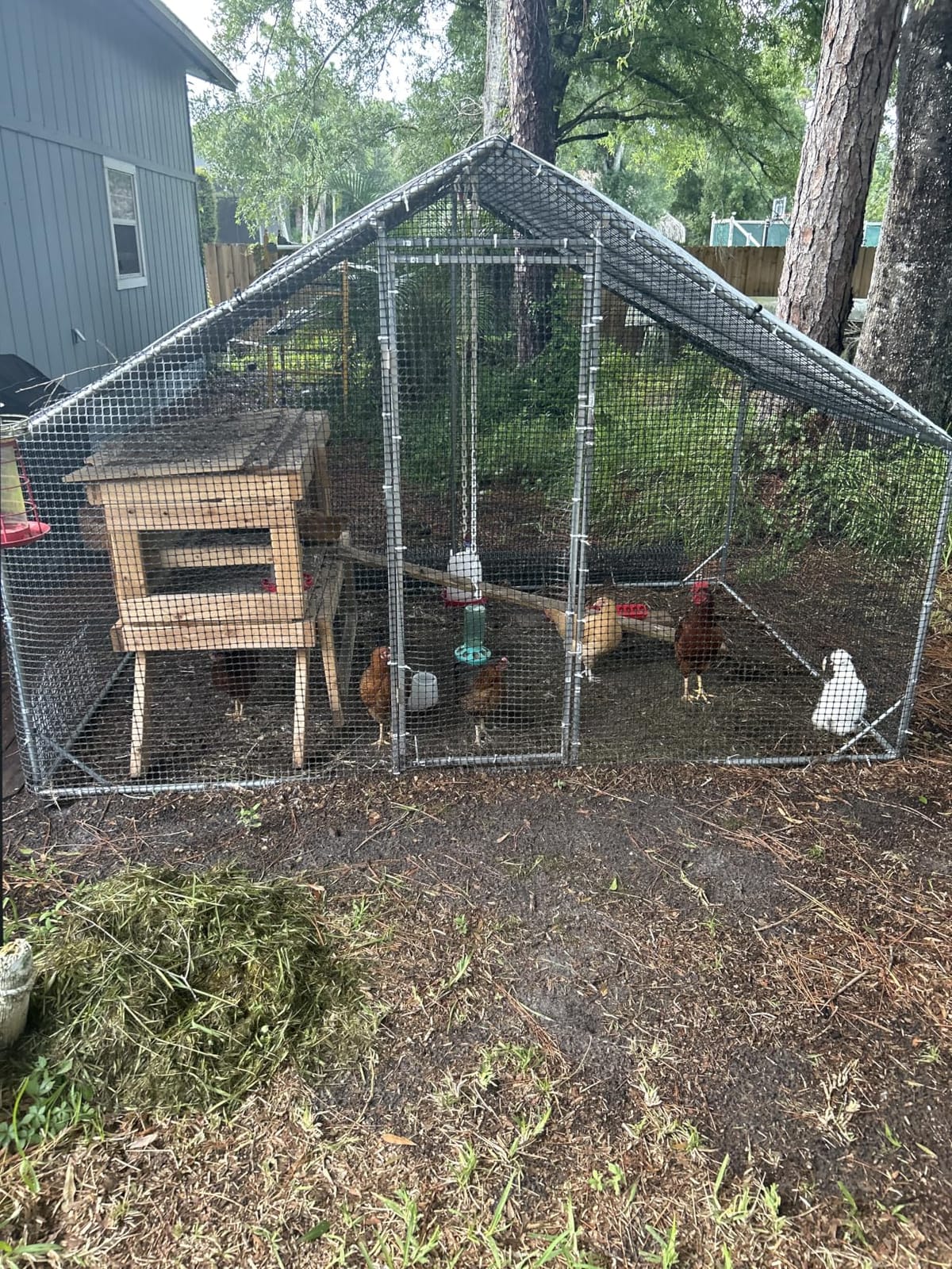 Large Walk-in Chicken Coop with Chicken Run, Galvanized Poultry Enclosure with Waterproof Anti-UV Cover and Security Lock, Ideal for Rabbit, Duck, Backyard and Farm Yard, 19.7'x 9.8'x 6.6' customer photo 1