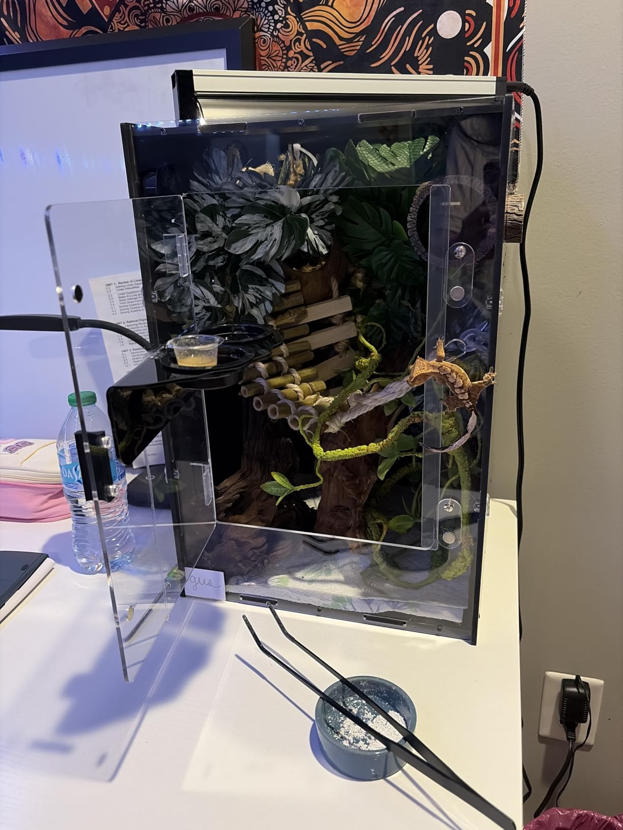 24x16x16 PVC Reptile Enclosure for Leopard Reptiles, Front Opening Tank customer photo 1