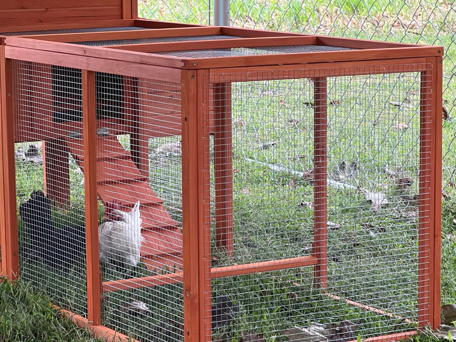Large Chicken Coop Outdoor Wooden Duck Hen House Poultry Pet Cage 76
