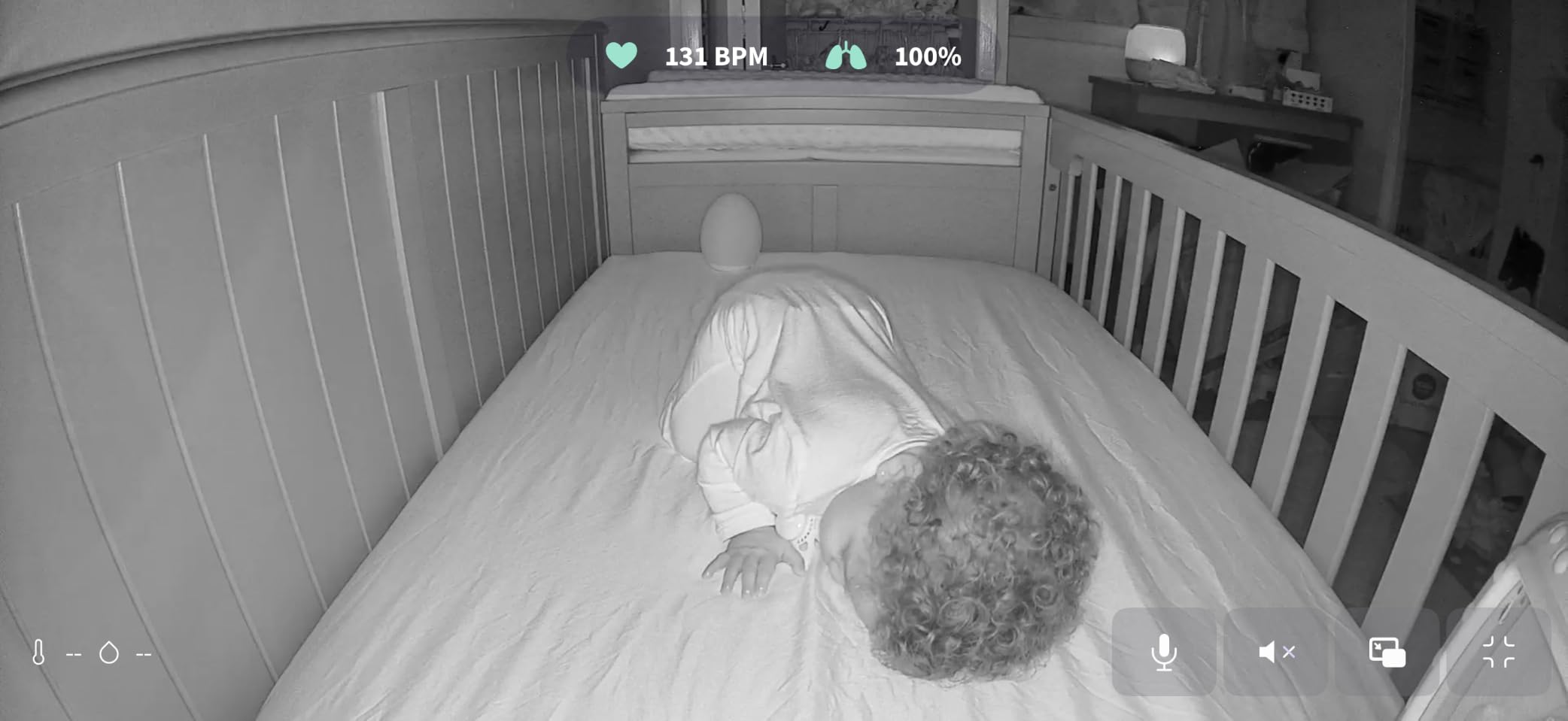 Owlet Dream Sock Smart Baby Monitor, Includes 3 Months of Owlet 360 customer photo 2